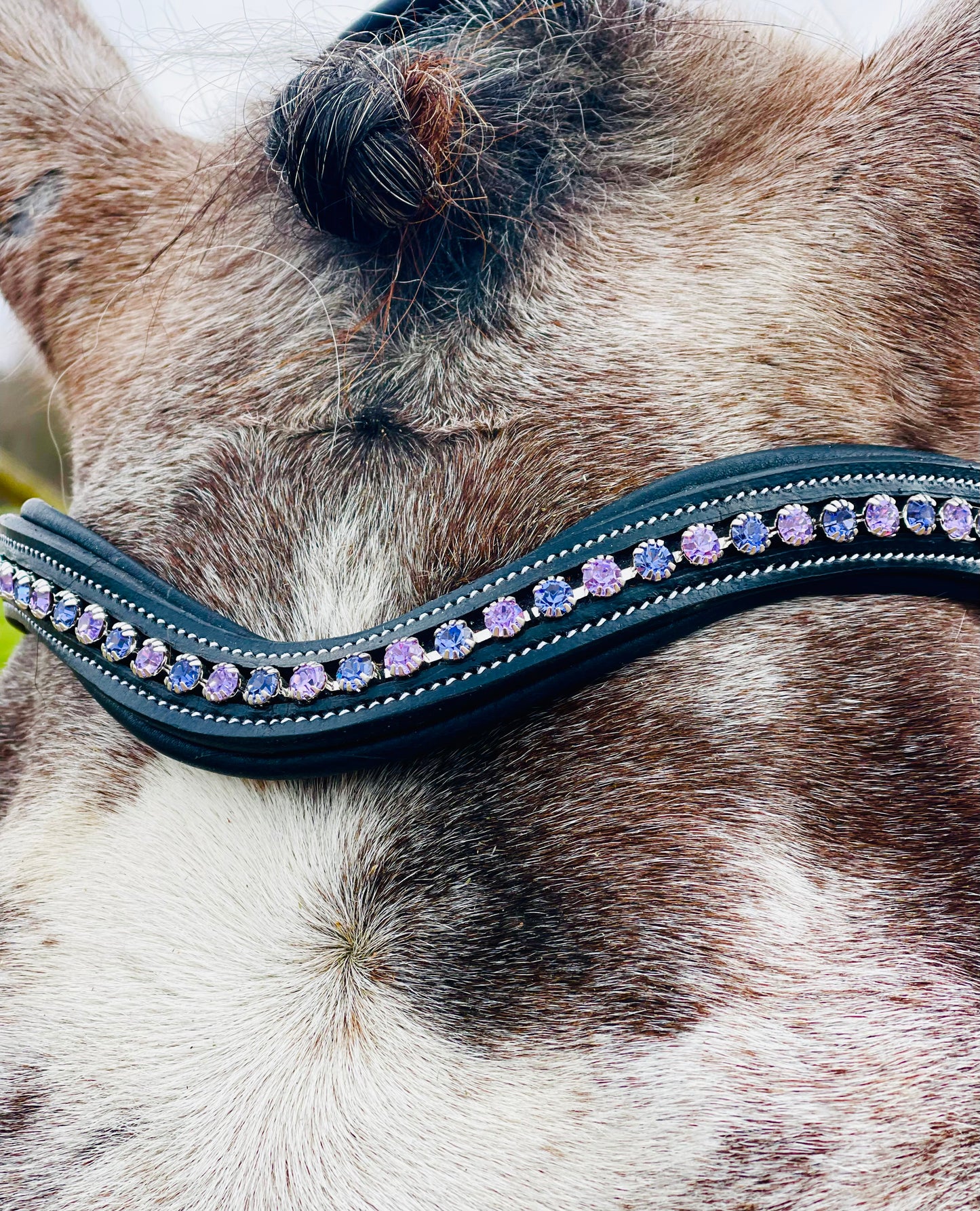 Amethyst Snap-Out Browband