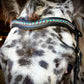 Carnival Snap-Out Browband