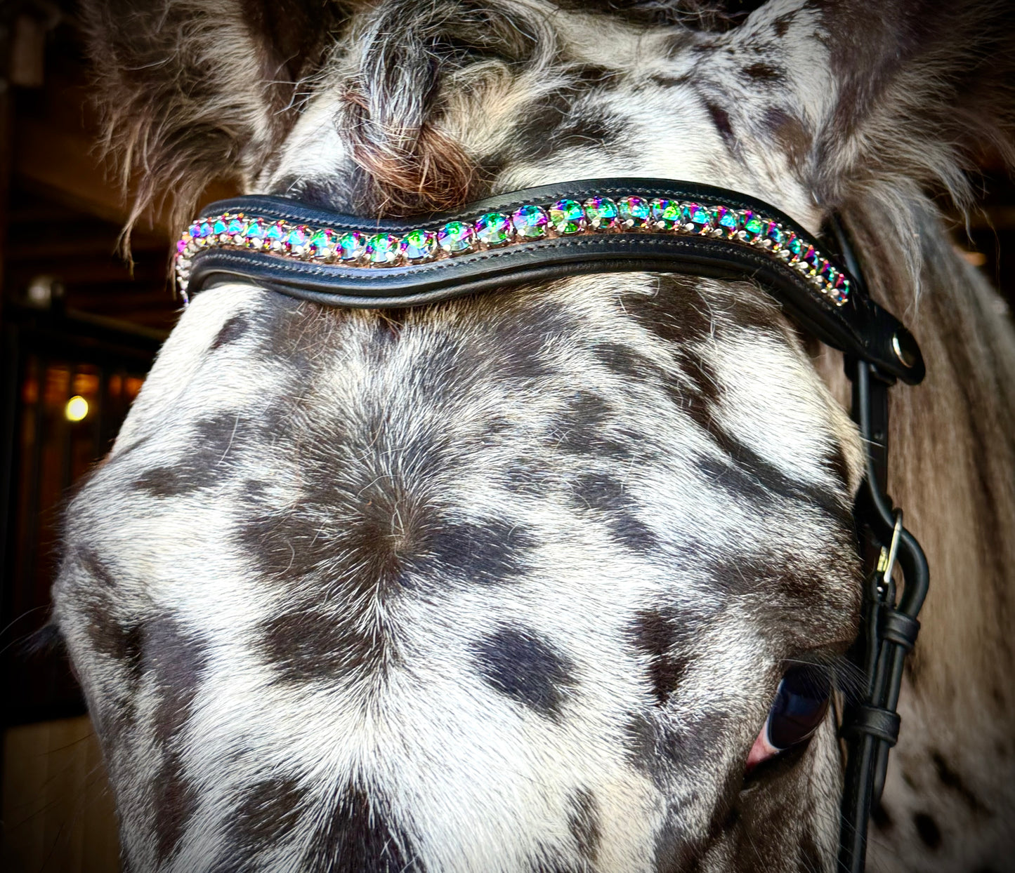 Carnival Snap-Out Browband