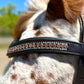 Peach Shimmer Snap-Out Browband