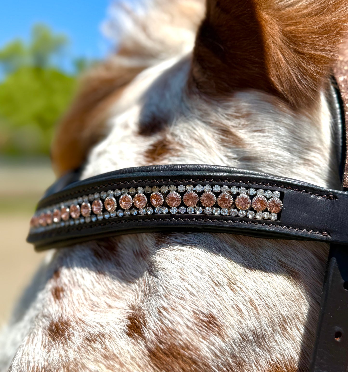 Peach Shimmer Snap-Out Browband