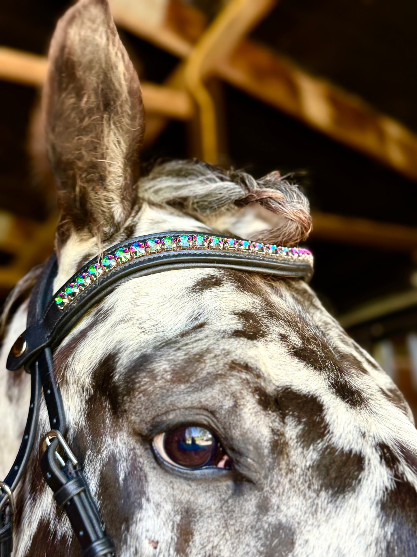 Carnival Snap-Out Browband