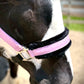 NEW Spring Colors! Fantasia's Sparkle Halter
