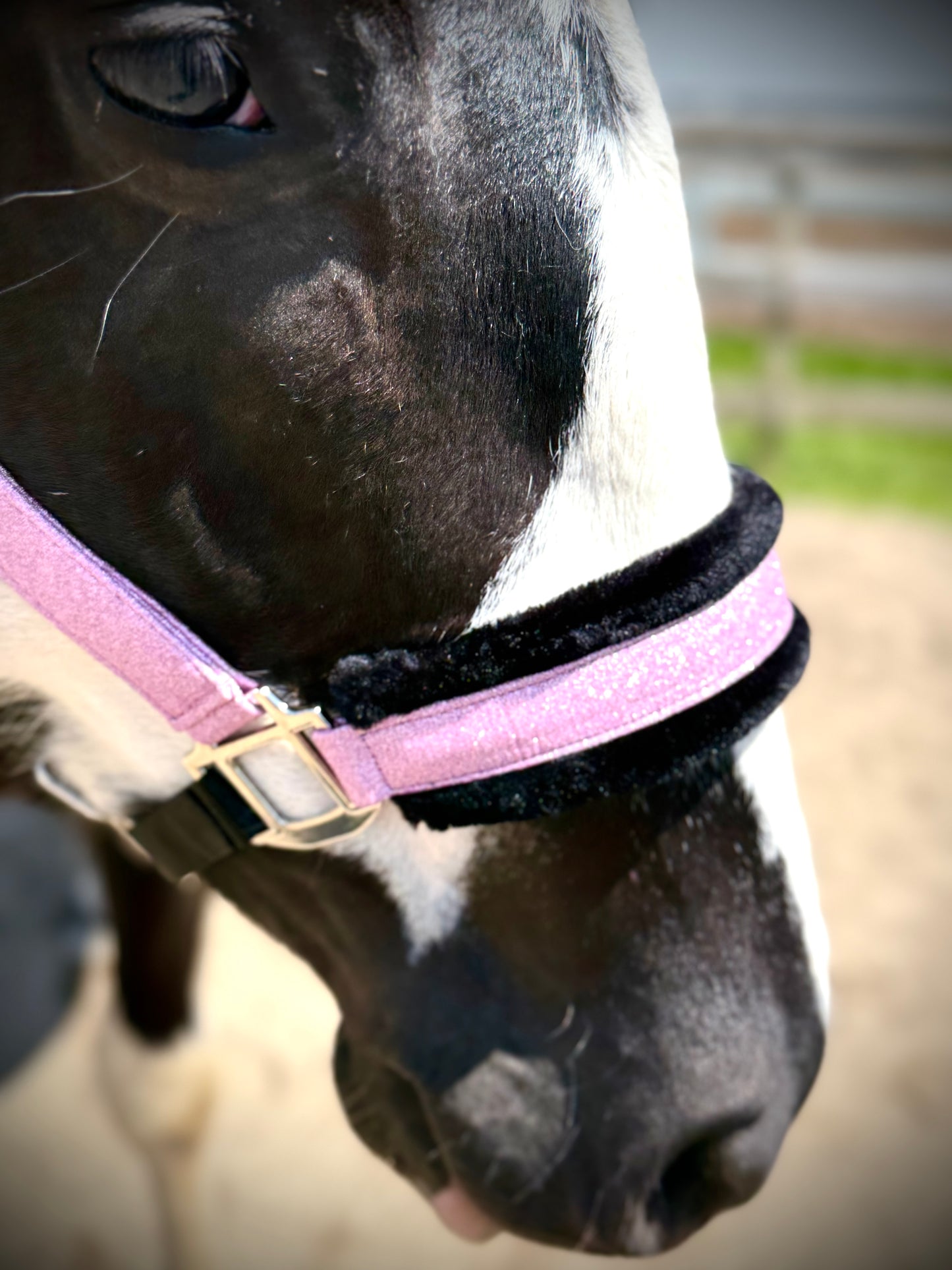 NEW Spring Colors! Fantasia's Sparkle Halter