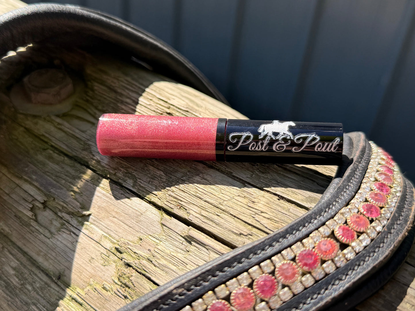 Post & Pout Lip Gloss