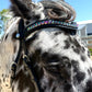 Carnival Snap-Out Browband