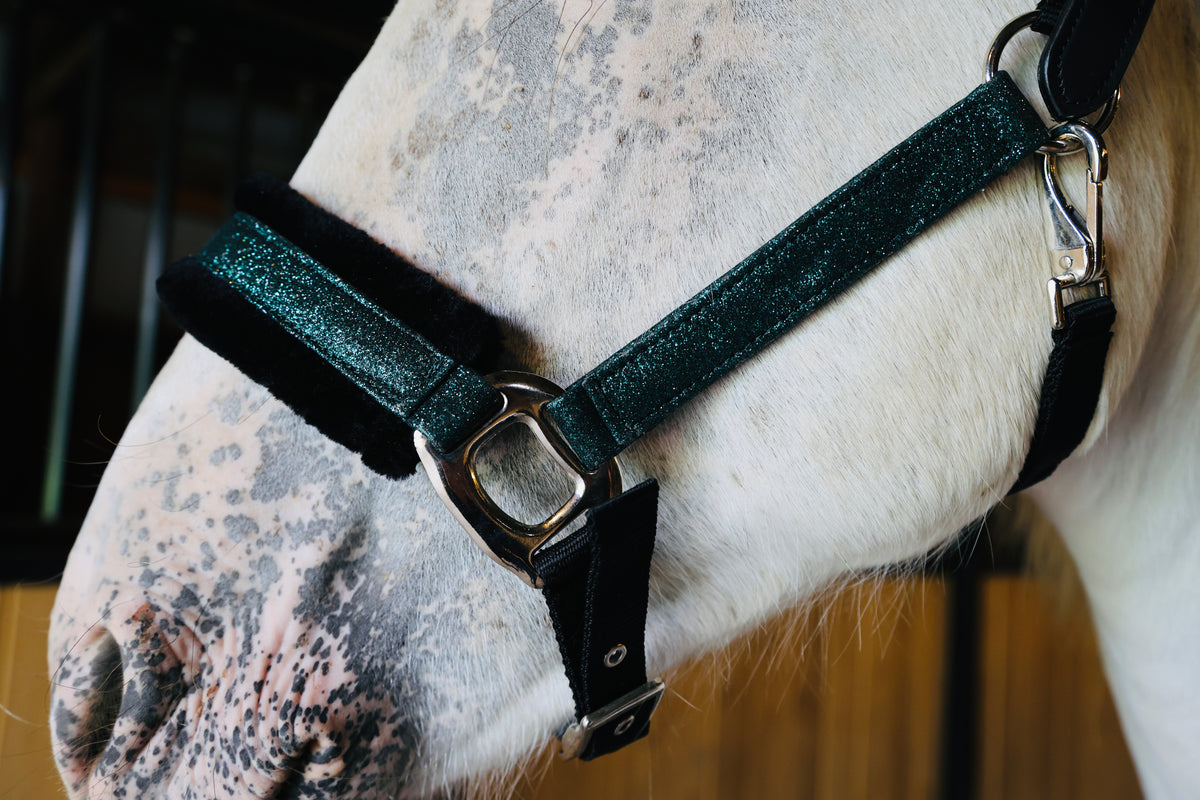 NEW Holiday Colors! Fantasia's Sparkle Halter