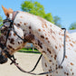 Wanderlust Bitless Bridle