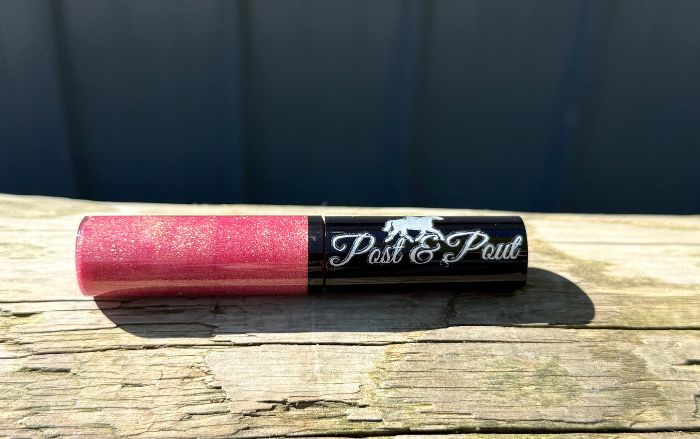 Post & Pout Lip Gloss