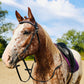 FS Schooler Bridle