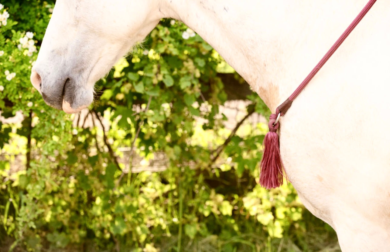 Bridleless Neck Rope