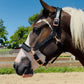 Fantasia's Sparkle-Hybrid Halter