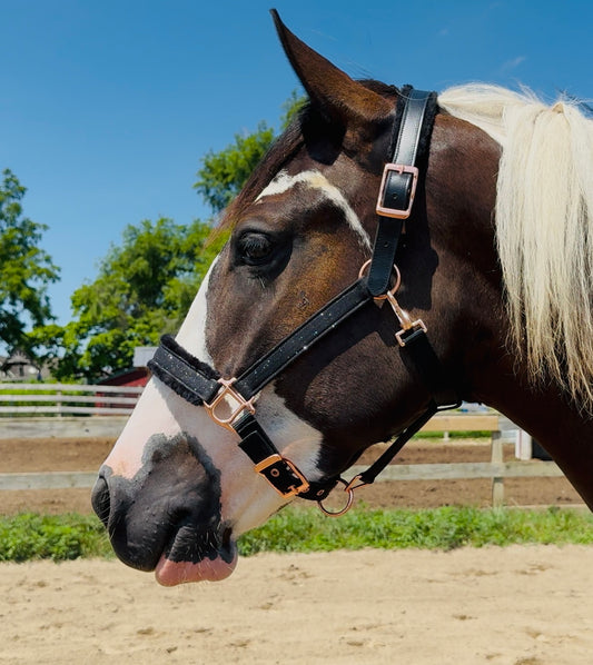 Fantasia's Sparkle-Hybrid Halter
