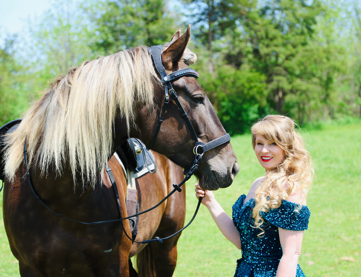 Wanderlust Bitless Bridle