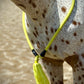 Bridleless Neck Rope