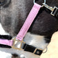 NEW Spring Colors! Fantasia's Sparkle Halter