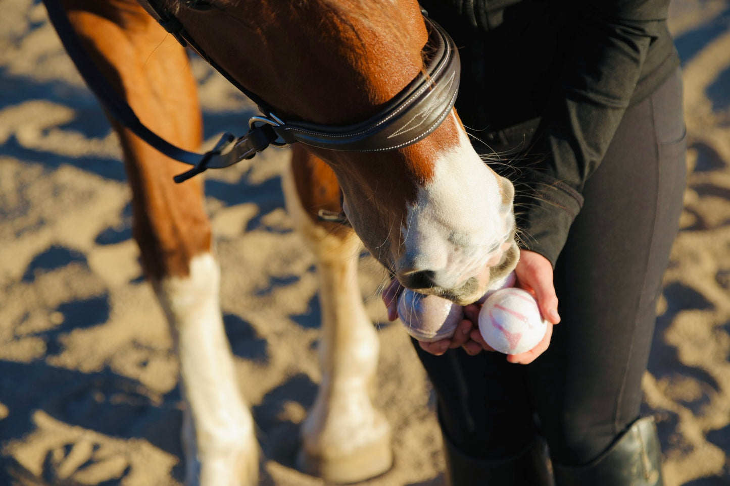 Horse Themed Bath Bombs