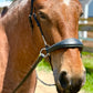 Hunter Classic Bitless Bridle