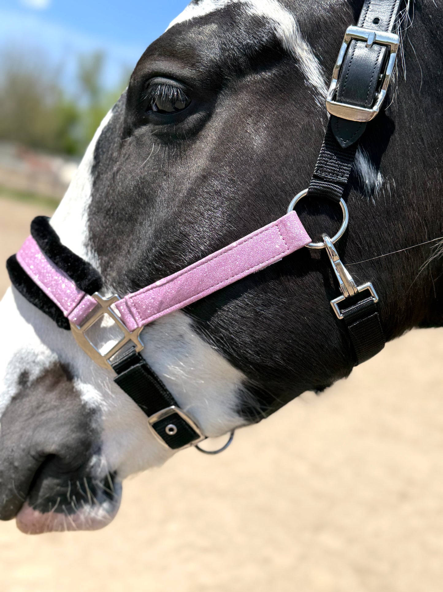 NEW Spring Colors! Fantasia's Sparkle Halter