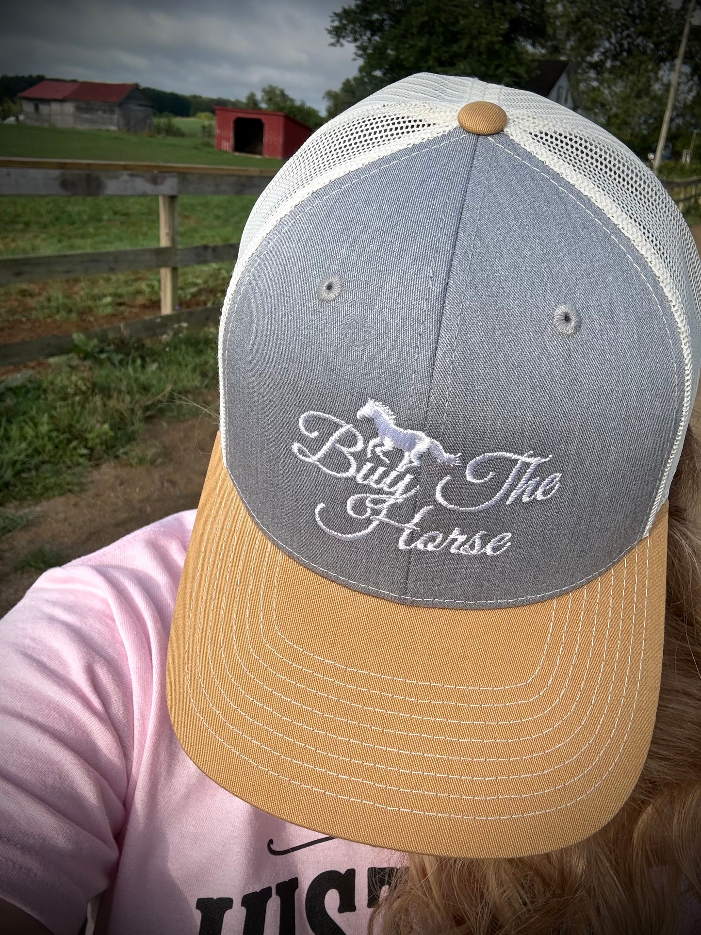 Just Buy The Horse Hat
