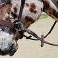 Wanderlust Bitless Bridle