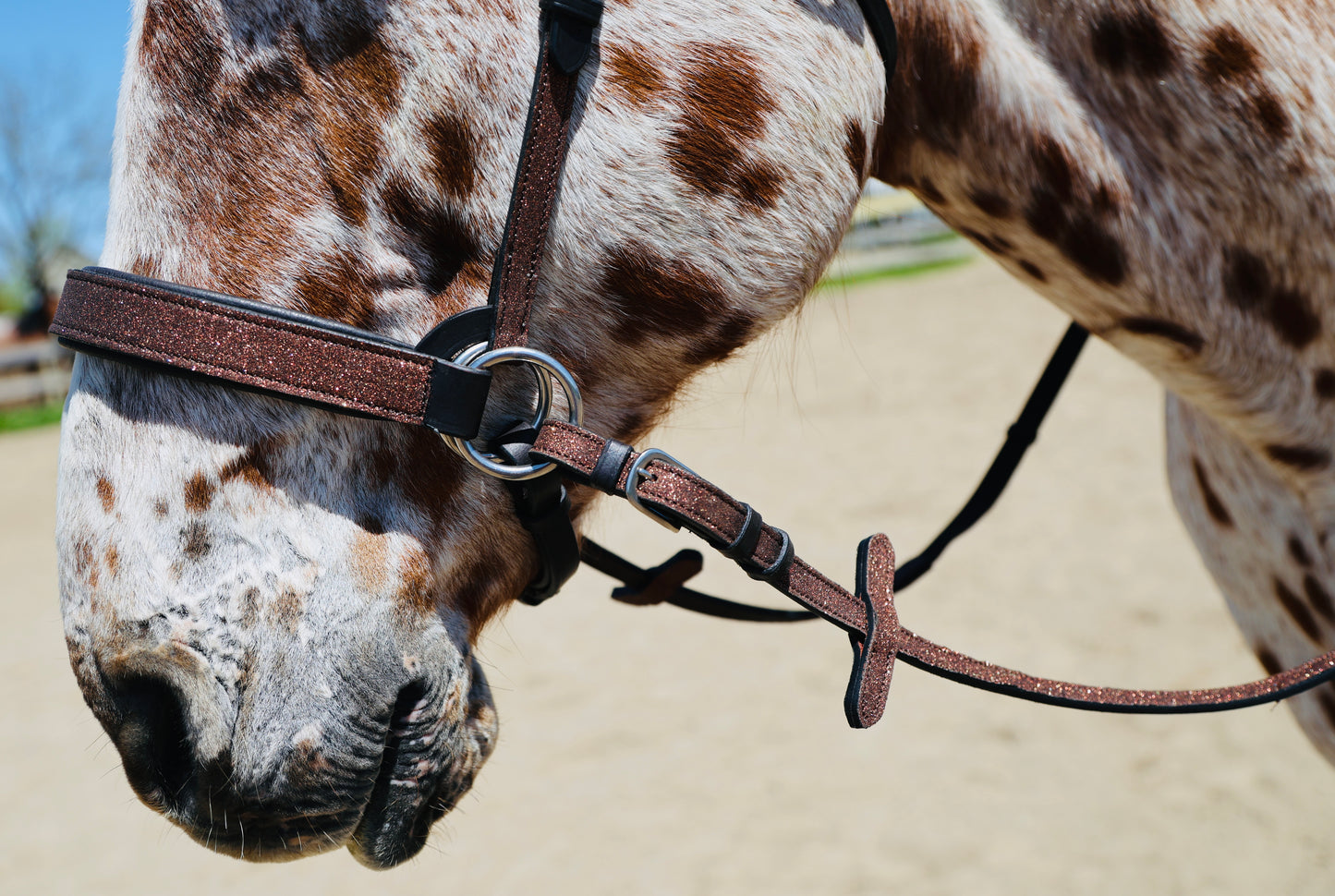 Wanderlust Bitless Bridle