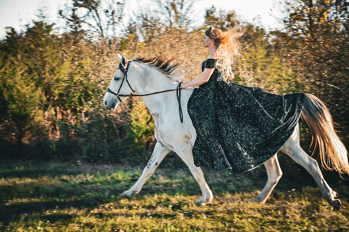 Hunter Classic Bitless Bridle