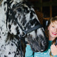 Prancy Pony-Lip Butter