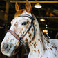 Peach Shimmer Snap-Out Browband
