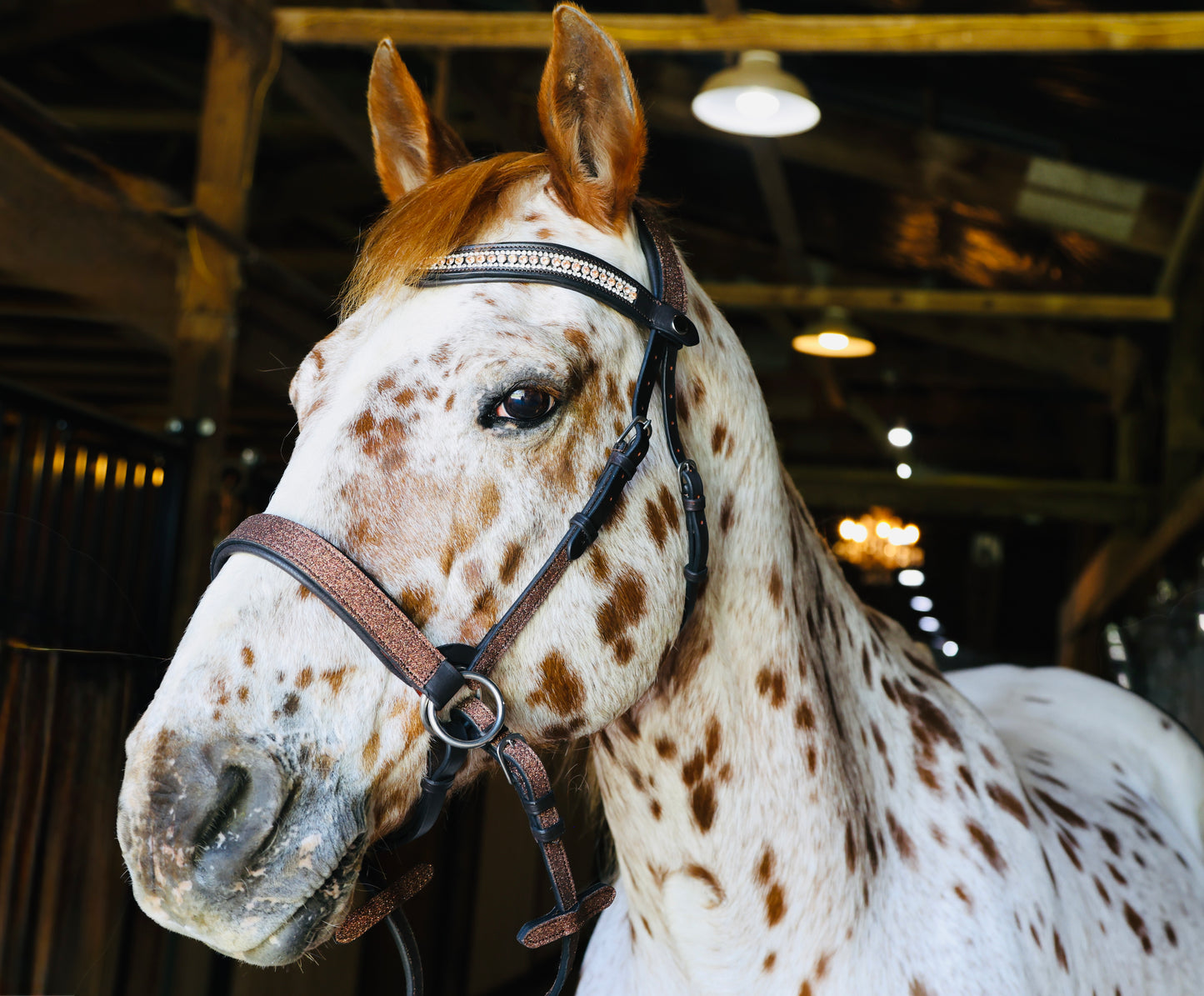 Peach Shimmer Snap-Out Browband