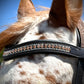 Peach Shimmer Snap-Out Browband