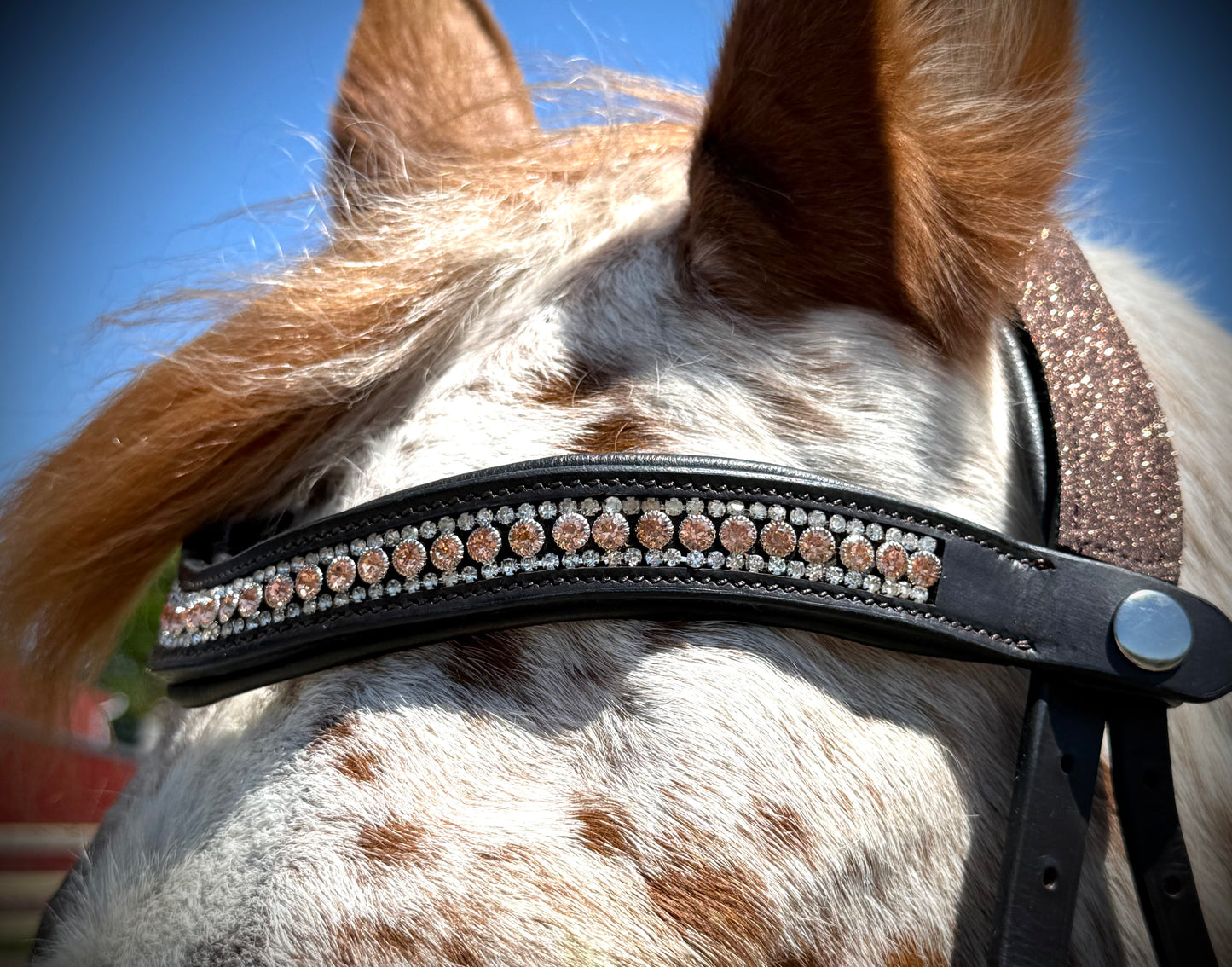 Peach Shimmer Snap-Out Browband