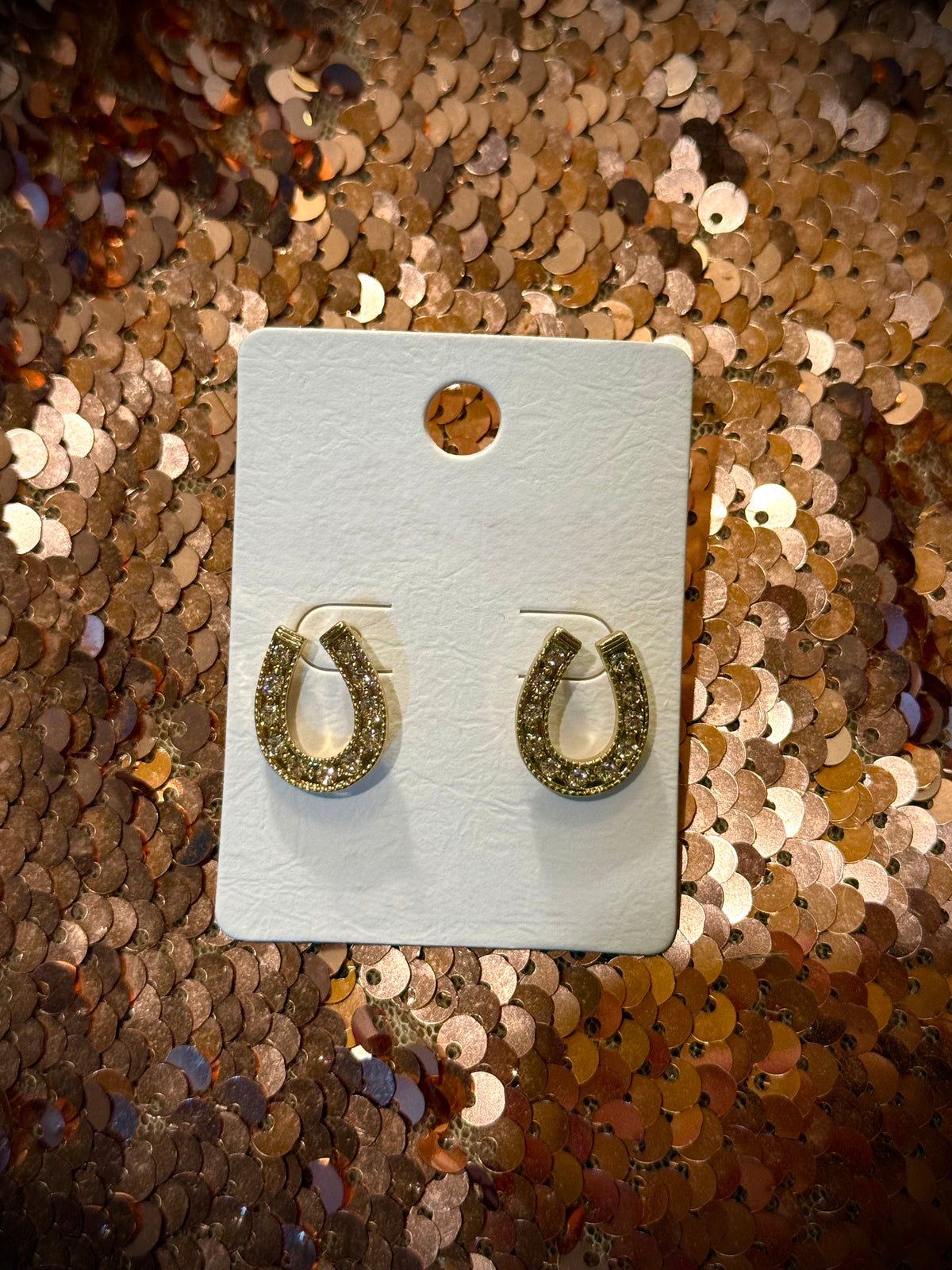 Horseshoe Sparkle Earrings