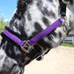 NEW Spring Colors! Fantasia's Sparkle Halter