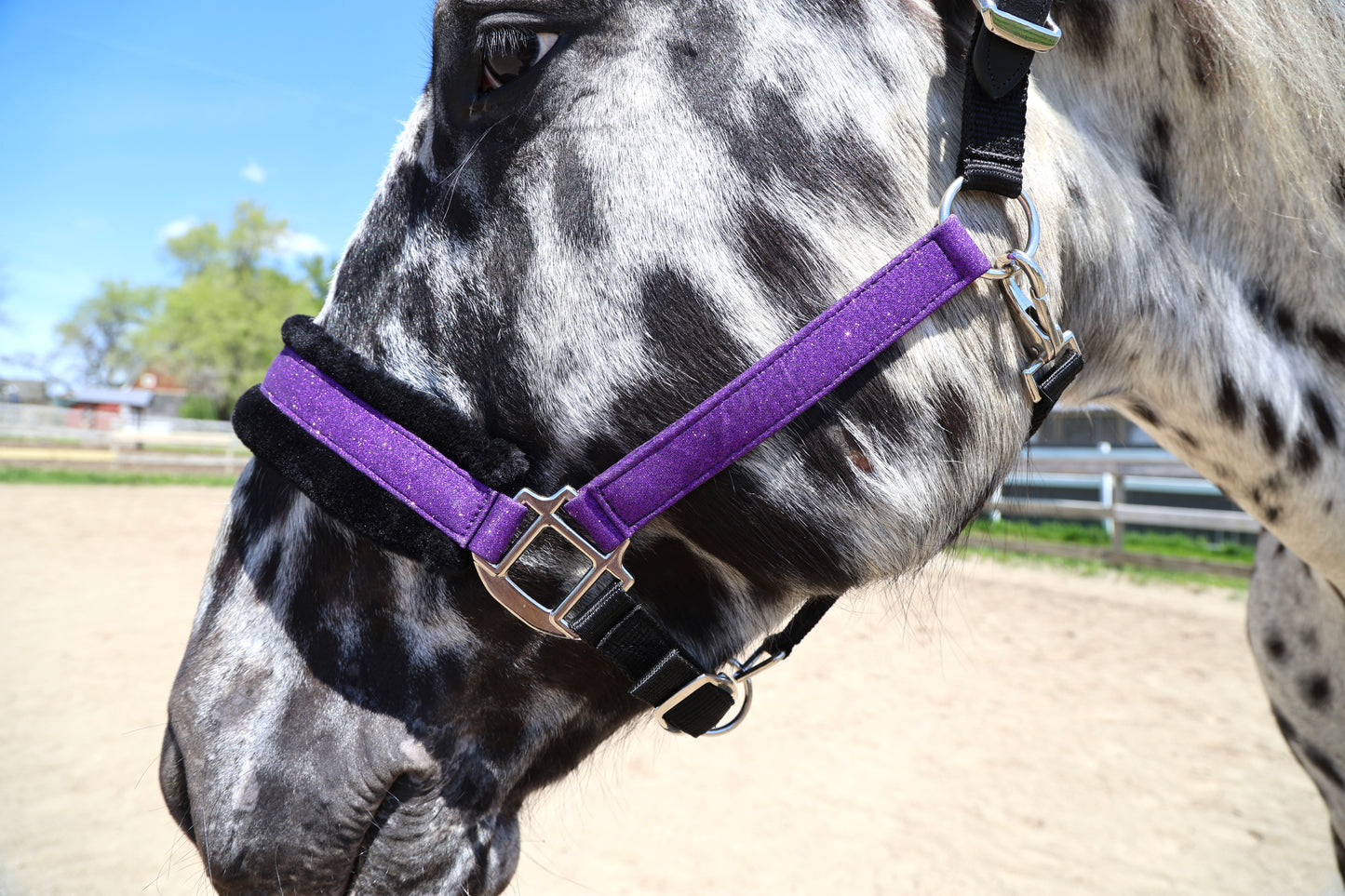 NEW Spring Colors! Fantasia's Sparkle Halter