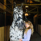 Sunny in the Saddle-Blush