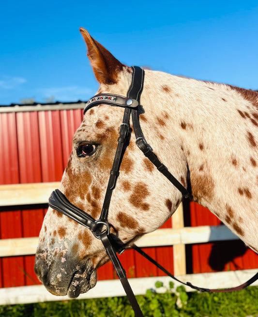 Hunter Classic Bitless Bridle