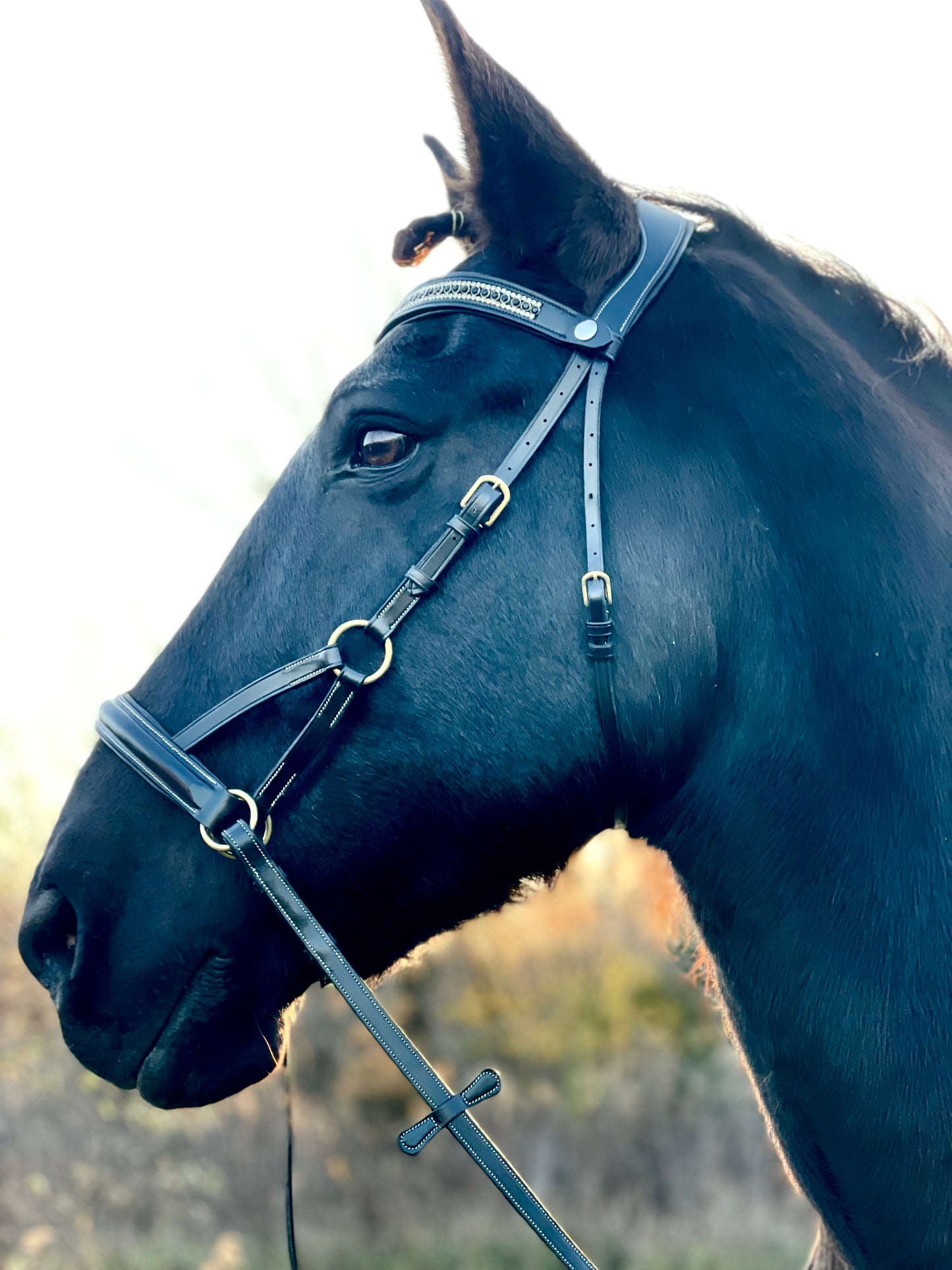 Golden Luxe Bitless Bridle