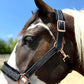 Fantasia's Sparkle-Hybrid Halter