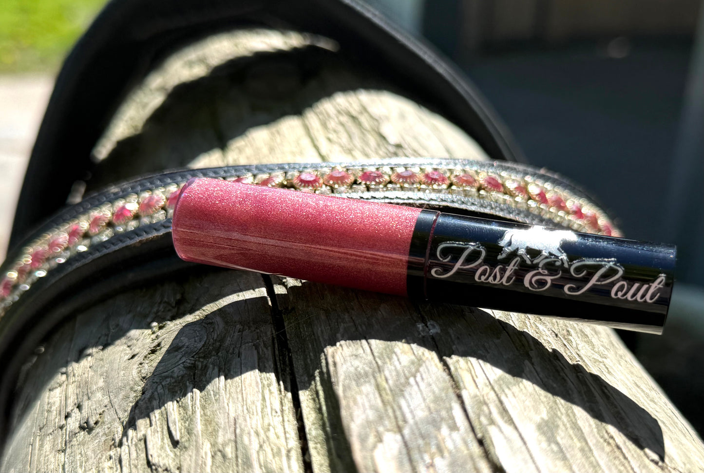 Post & Pout Lip Gloss
