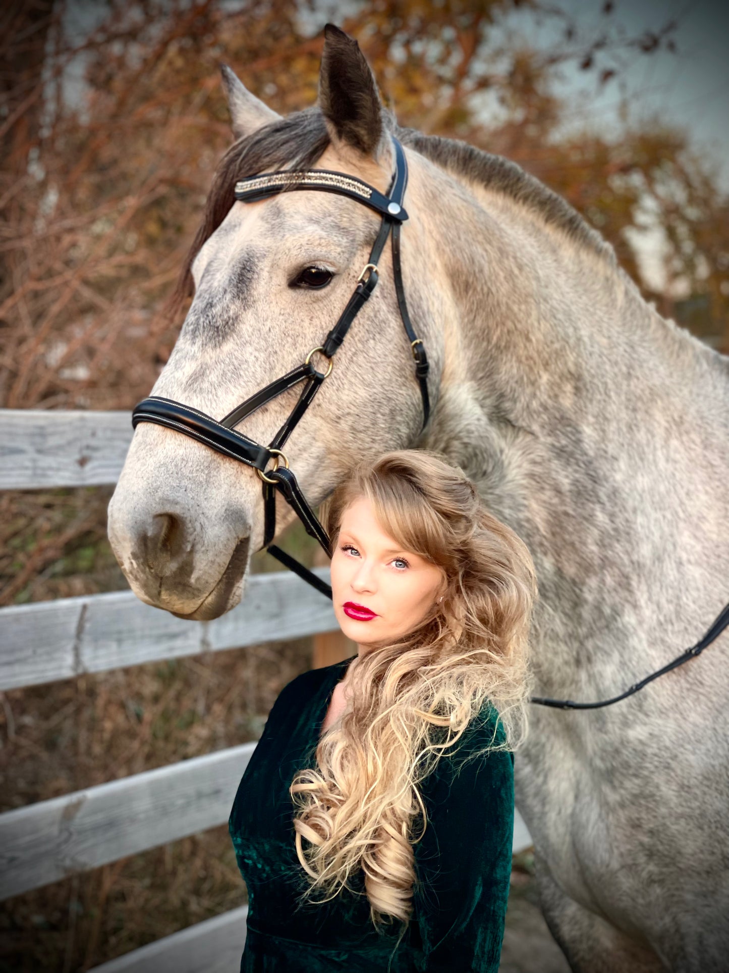 Golden Luxe Bitless Bridle