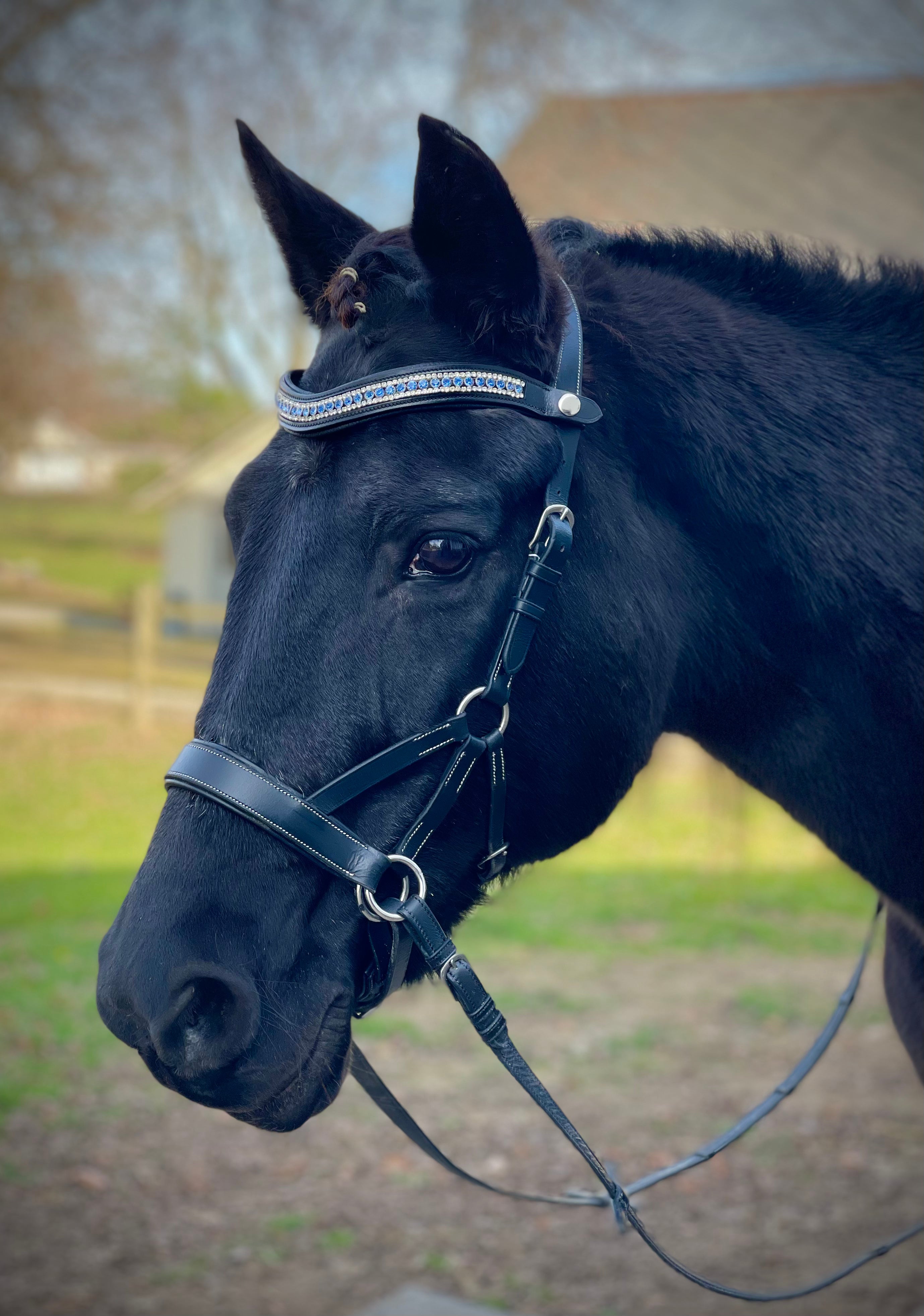 Silver Deluxe Bitless Bridle – The Spirited Horse Boutique