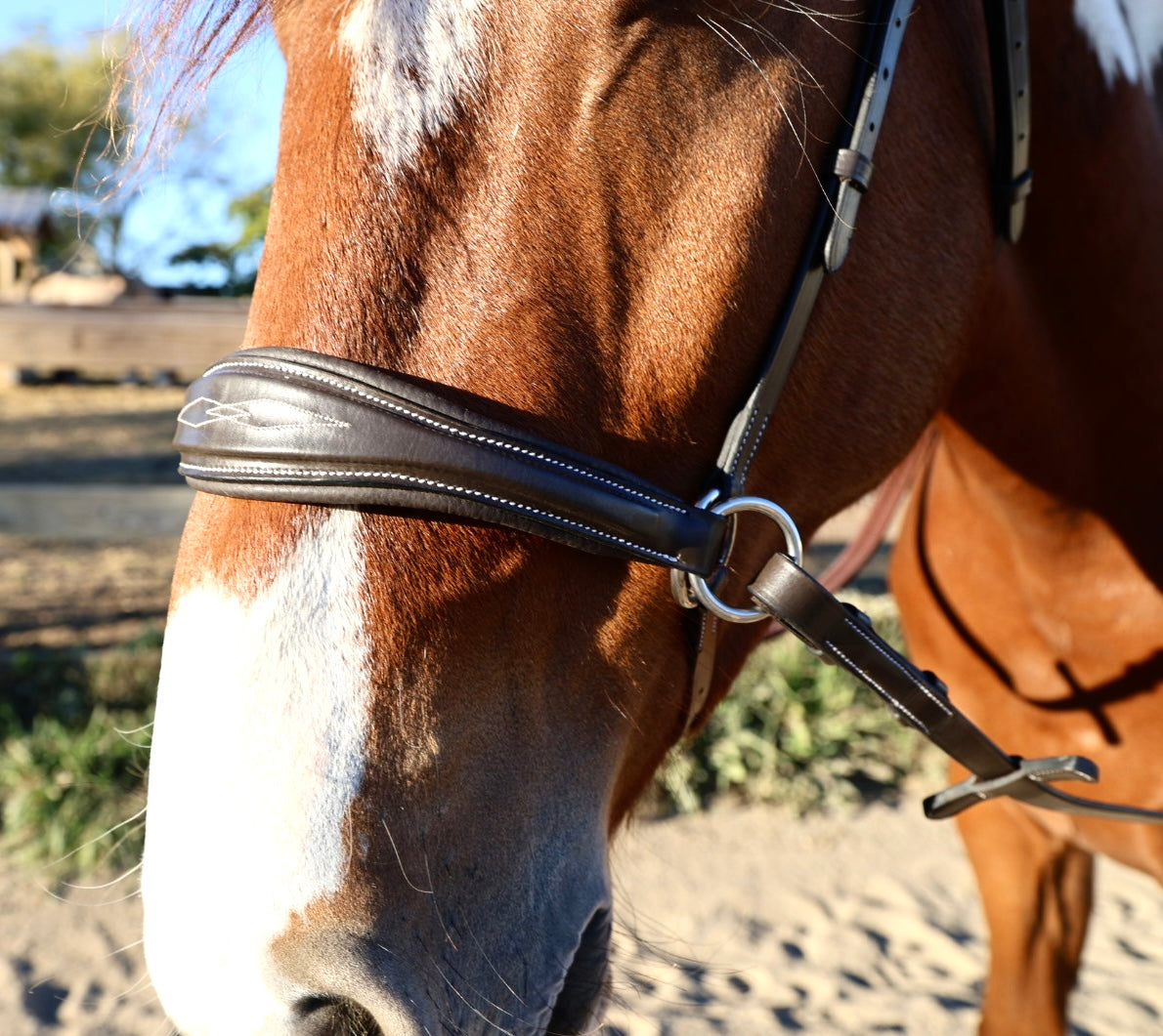 Hunter Classic Bitless Bridle