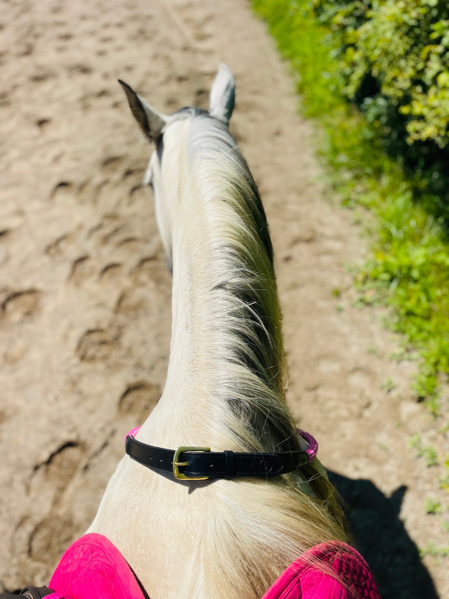 Bridleless Neck Rope