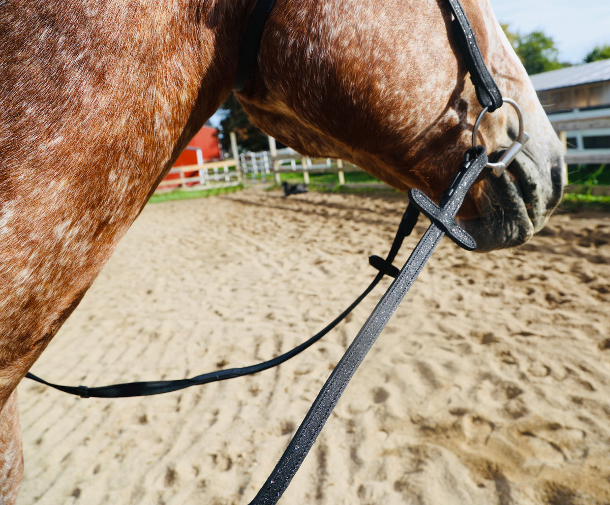FS Schooler Bridle