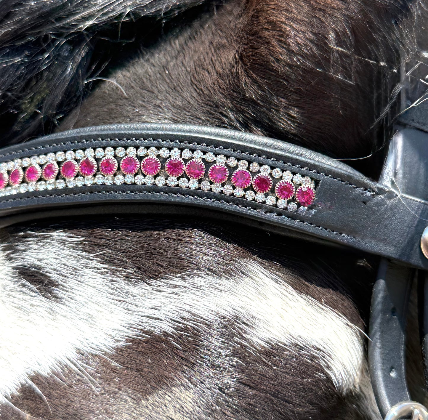 Magic Magenta Snap-Out Browband