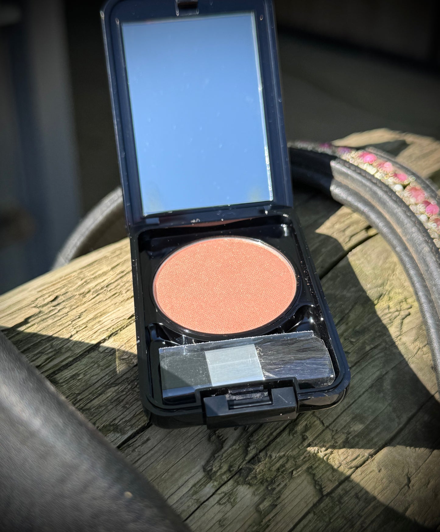 Sunny in the Saddle-Blush