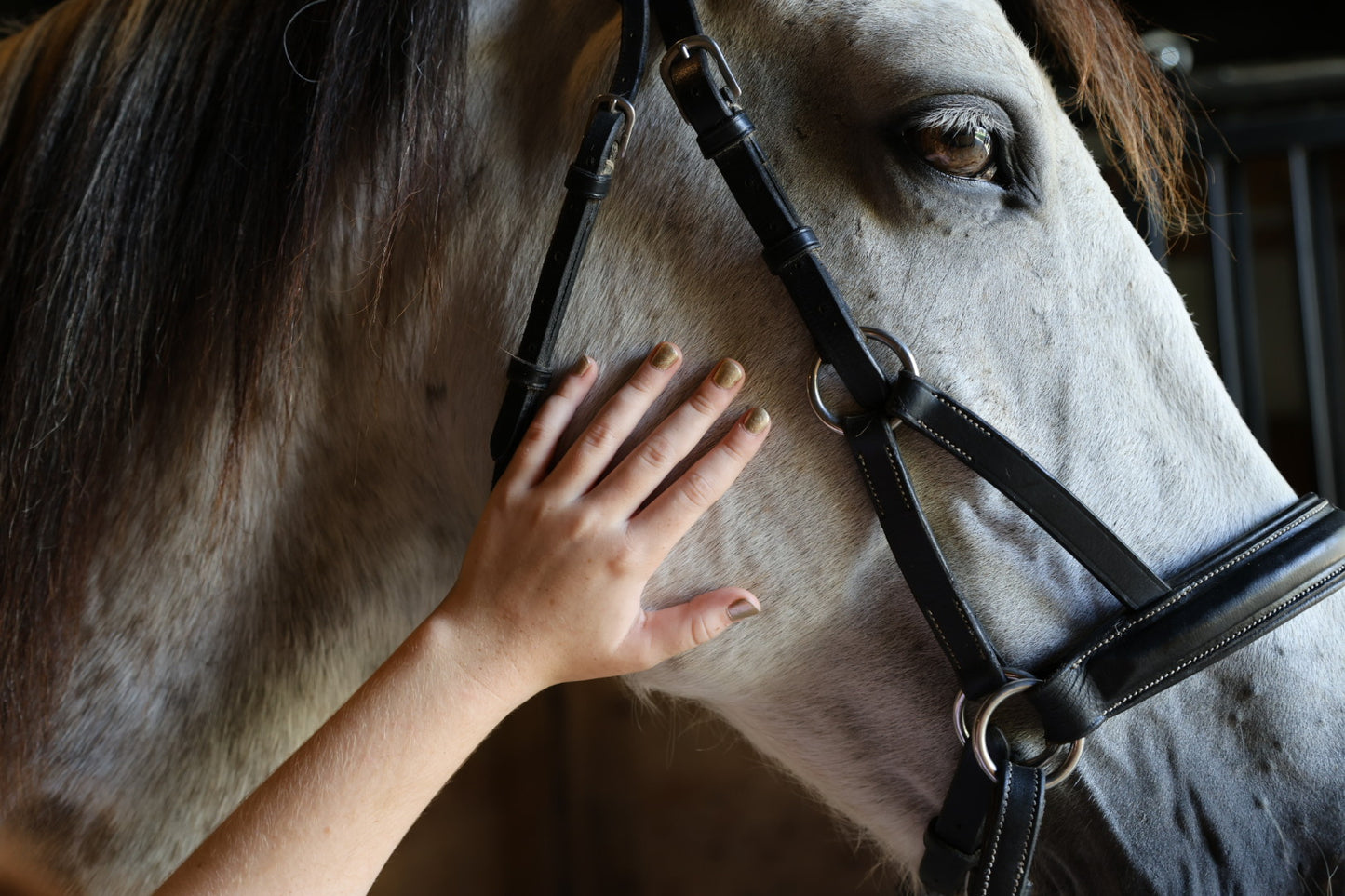 Horse Themed Nail Polish-Mystery Kit