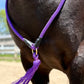Bridleless Neck Rope