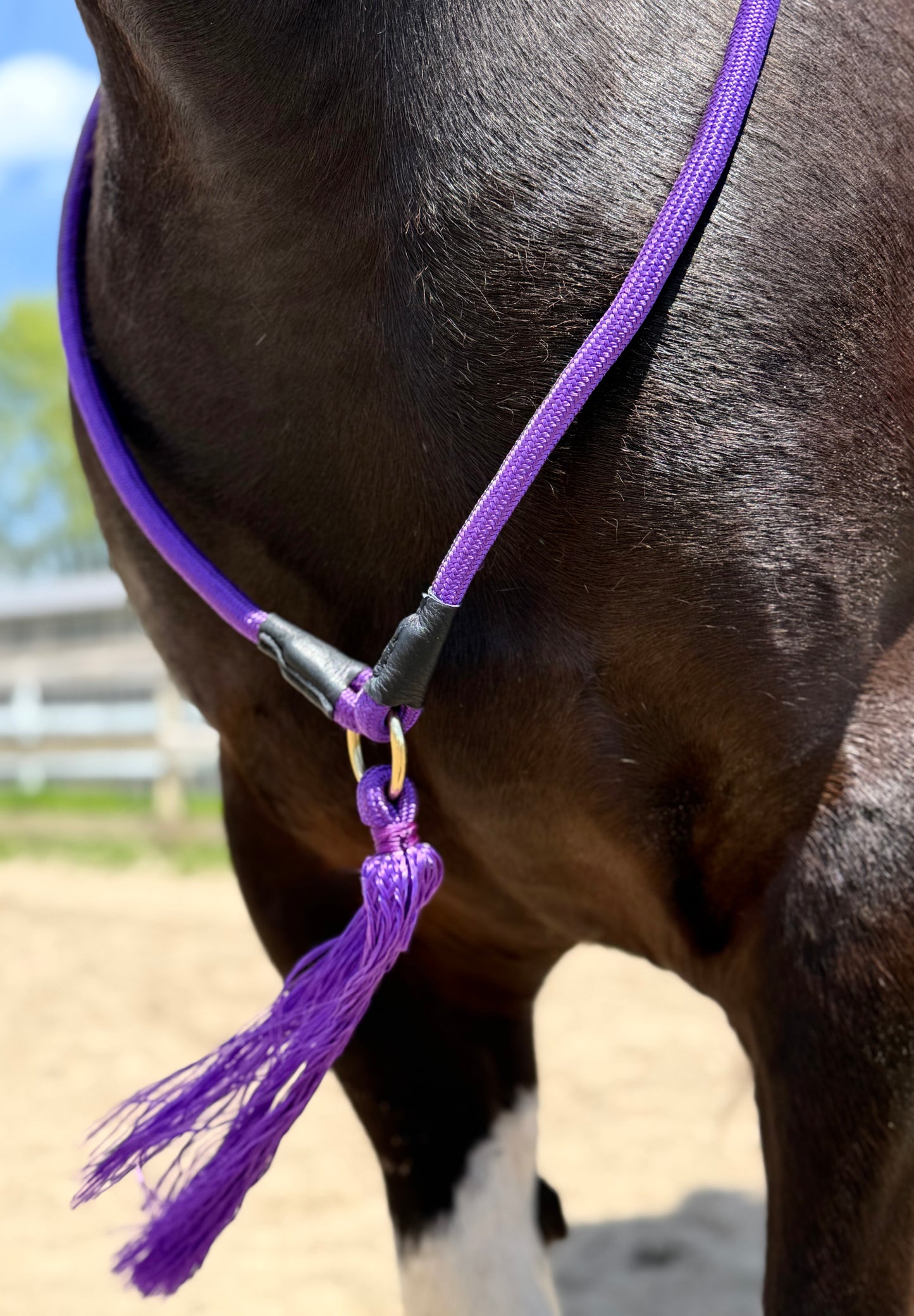 Bridleless Neck Rope